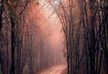 开云：卡里乌斯：可能会考虑退役.