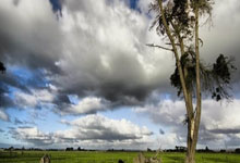 哈登41分快船大胜爵士 约基奇三双掘金胜国王.