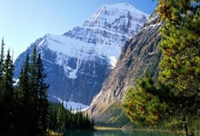 开云:卡里乌斯:可能会考虑退役.