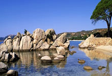 开云：世界羽联巡回赛总决赛抽签结果公布 国羽两对混双组合提前交手央视新闻客户端.